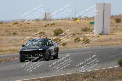 media/May-03-2025-Lucky Dog Racing (Sat) [[206de64b9d]]/Turn 6 (150pm-230pm)/